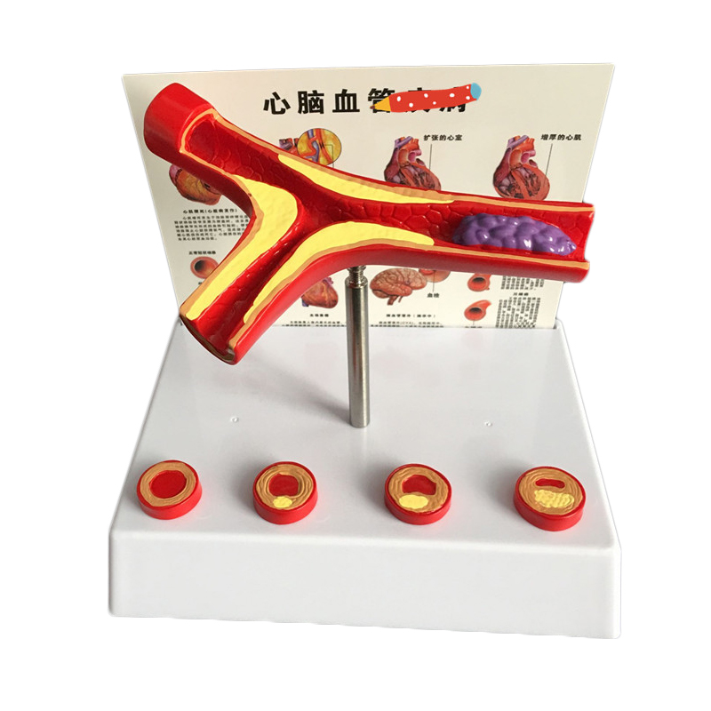 50倍の人間の回転テルスナチュラルモデル実験用品 - Medical Lab And Science のレビューと価格